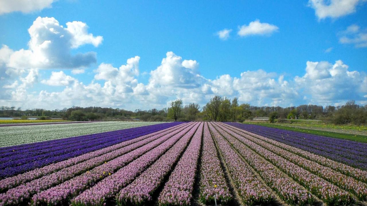 B&B Het Ruime Sop Wassenaar Exterior foto
